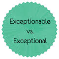 exceptionable是什么意思