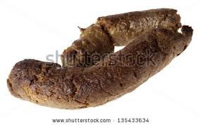 excrement是什么意思