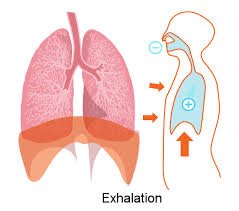 exhalation是什么意思