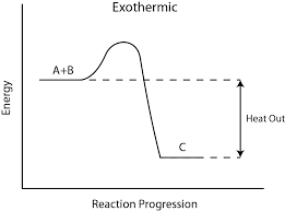exothermic是什么意思