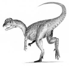 extinct是什么意思