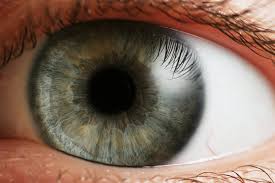 eye是什么意思