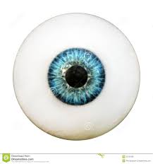 eyeball是什么意思