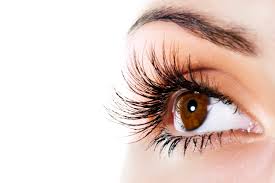eyelash是什么意思