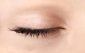 eyelid是什么意思