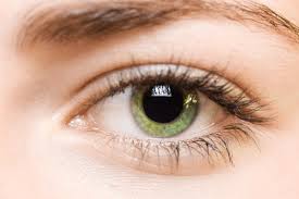 eyesight是什么意思