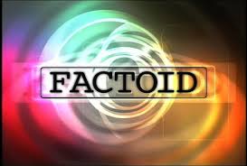 factoid是什么意思