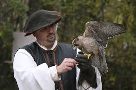 falconer是什么意思