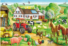 farmyard是什么意思