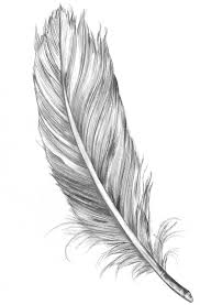feather是什么意思