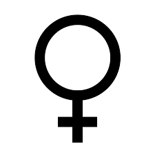 female是什么意思