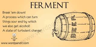 ferment是什么意思