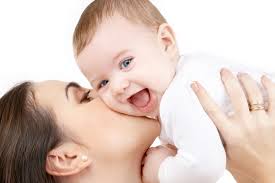 fertility是什么意思