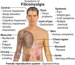 fibromyalgia是什么意思