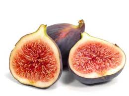 fig是什么意思
