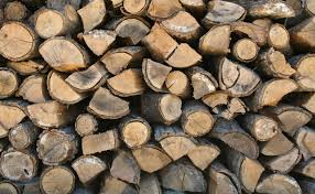 firewood是什么意思