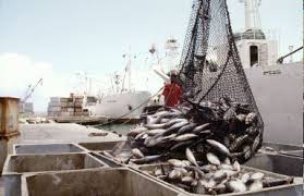 fishery是什么意思