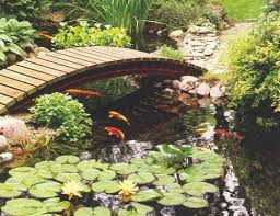 fishpond是什么意思