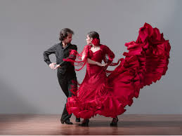flamenco是什么意思