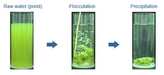 flocculation是什么意思