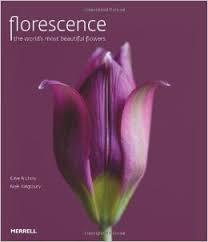 florescence是什么意思
