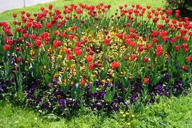 flowerbed是什么意思