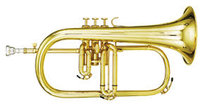 flugelhorn是什么意思