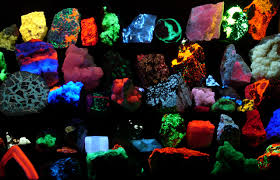 fluoresce是什么意思