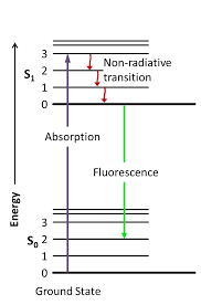 fluorescence是什么意思