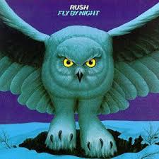 fly-by-night是什么意思