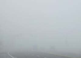 fog是什么意思