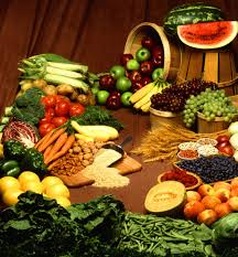 food是什么意思