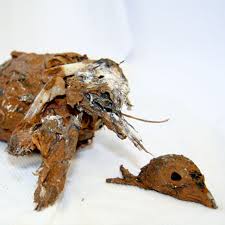 fossilise是什么意思