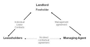 freeholder是什么意思