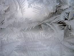 frosted是什么意思