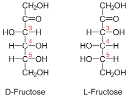 fructose是什么意思