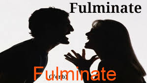 fulminate是什么意思