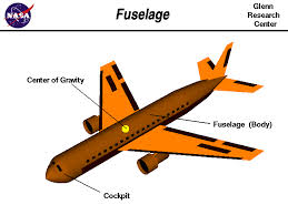 fuselage是什么意思