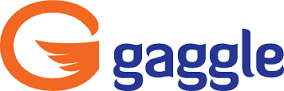 gaggle是什么意思