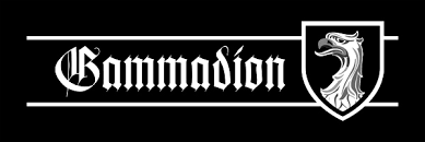 gammadion是什么意思