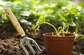 gardening是什么意思