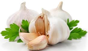 garlic是什么意思