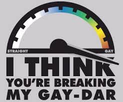 gaydar是什么意思