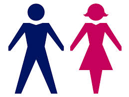 gender是什么意思