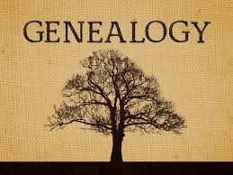 genealogy是什么意思