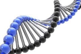 genetic是什么意思