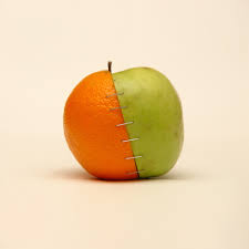 genetically是什么意思