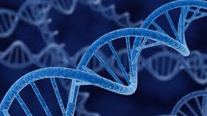 genetics是什么意思