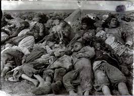 genocide是什么意思