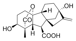 gibberellin是什么意思